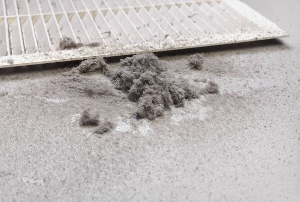 Best Dryer Vent Cleaning Services  in , MA