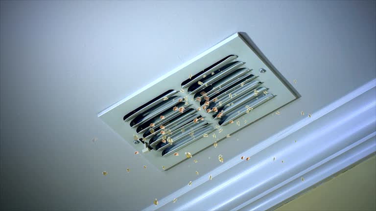 Best Ductwork Cleaning Services  in , MA
