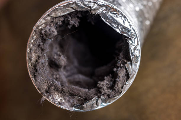 Best Professional Duct Cleaning Services  in , MA
